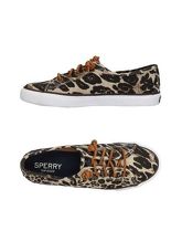 SPERRY TOP-SIDER Sneakers & Tennis shoes basse donna