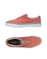 SPERRY TOP-SIDER Sneakers & Tennis shoes basse uomo