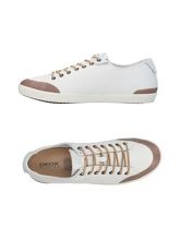 GEOX Sneakers & Tennis shoes basse uomo