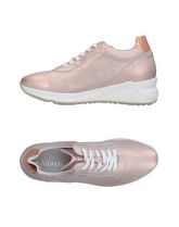 ANDREA MORELLI Sneakers & Tennis shoes basse donna