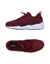 PUMA Sneakers & Tennis shoes basse uomo