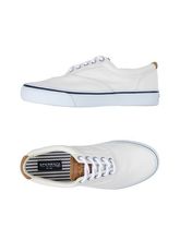 SPERRY TOP-SIDER Sneakers & Tennis shoes basse uomo