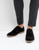 Red Tape - Scarpe brogue nero scamosciato - Nero