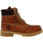 Stivaletti Timberland  Polacco  C27094