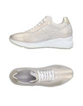 ANDREA MORELLI Sneakers & Tennis shoes basse donna