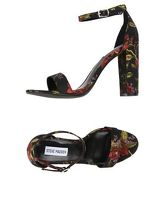 STEVE MADDEN Sandali donna