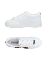 STEVE MADDEN Sneakers & Tennis shoes basse donna