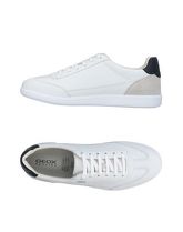 GEOX Sneakers & Tennis shoes basse uomo