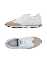 ALBERTO GUARDIANI Sneakers & Tennis shoes basse uomo