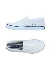 SPERRY TOP-SIDER Sneakers & Tennis shoes basse uomo