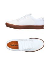 TIMBERLAND Sneakers & Tennis shoes basse uomo