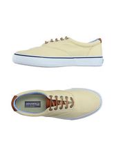 SPERRY TOP-SIDER Sneakers & Tennis shoes basse uomo