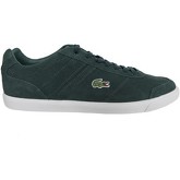 Scarpe Lacoste  29SPM0012 COMBA GRV