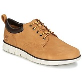 Scarpe Timberland  BRADSTREET 5 EYE OX