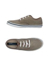 TIMBERLAND Sneakers & Tennis shoes basse uomo