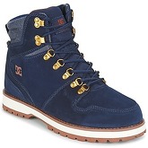 Stivaletti DC Shoes  PEARY M BOOT NC5