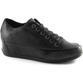 Scarpe Igi co IGI-67600-NE