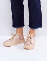 ASOS - DATE NIGHT - Scarpe da ginnastica stringate - Multicolore