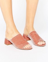 Dune London - Sabot in velluto cipria con tacco - Rosa