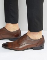 Ted Baker - Umbber - Scarpe Oxford con punta - Marrone