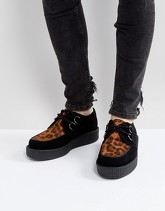 T.U.K - Scarpe in pelle scamosciata animalier con plateau creeper - Nero